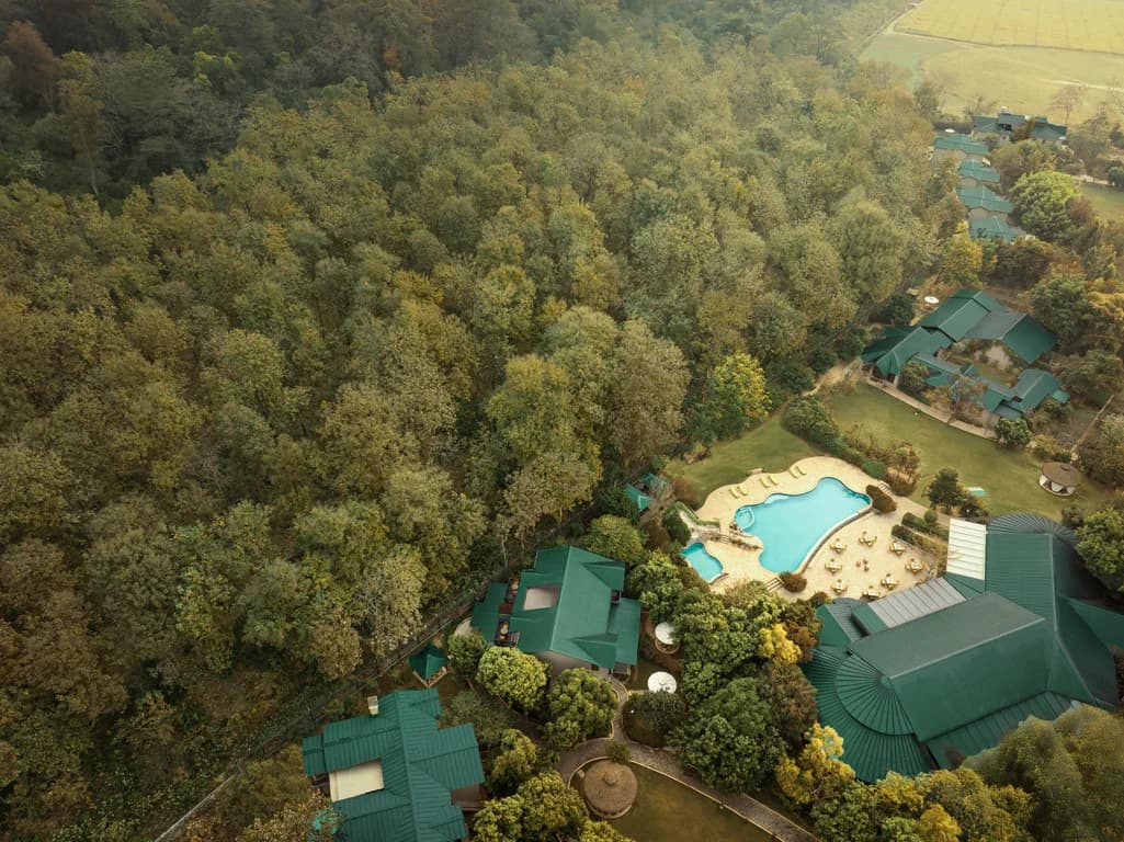 Aerial View of Jungle Resort Accommodation and Swimming Pool