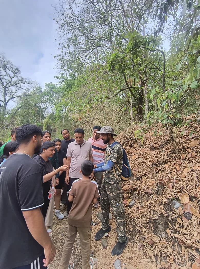 Guided Nature Walk in Forest with Expert Tour Guide