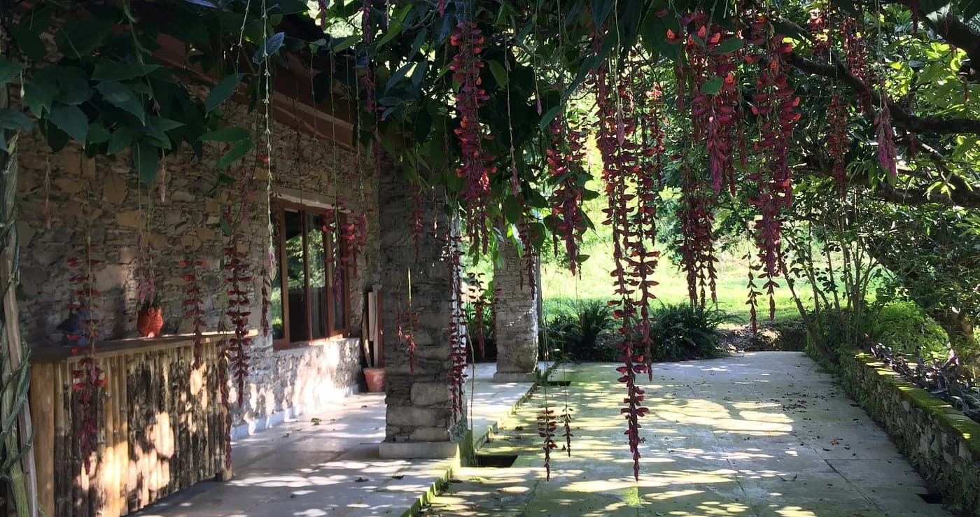 surrounded by greenery