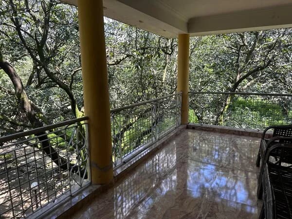 Balcony with forest view
