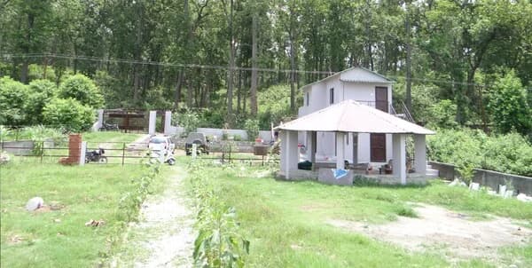 homestay in the middle of the forest