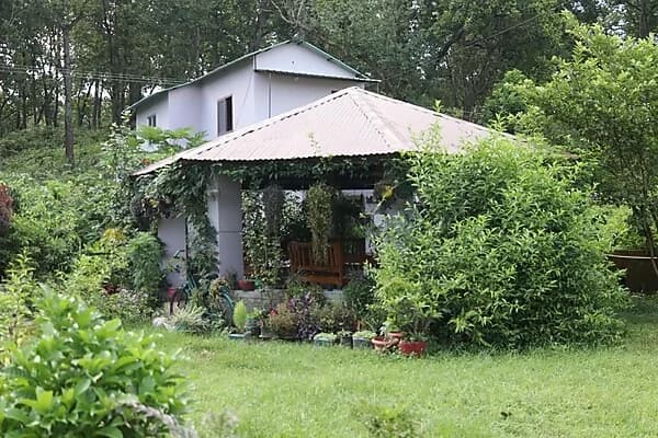 cottage shape homestay near forest