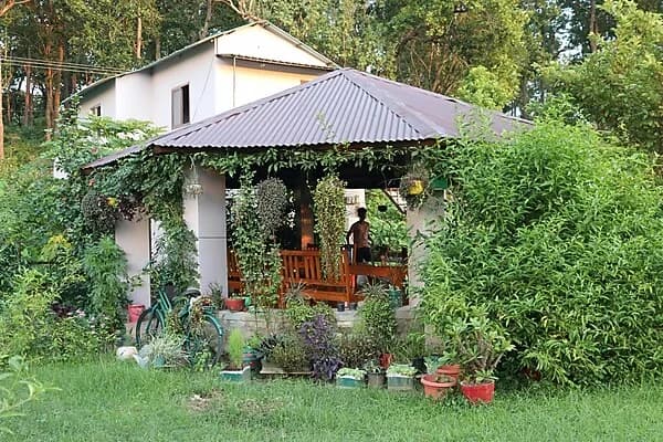 cottage surrounded with greenery